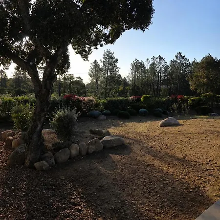 Сasa de vacaciones Evasion Maquis Avec Piscine San-Gavino-di-Carbini